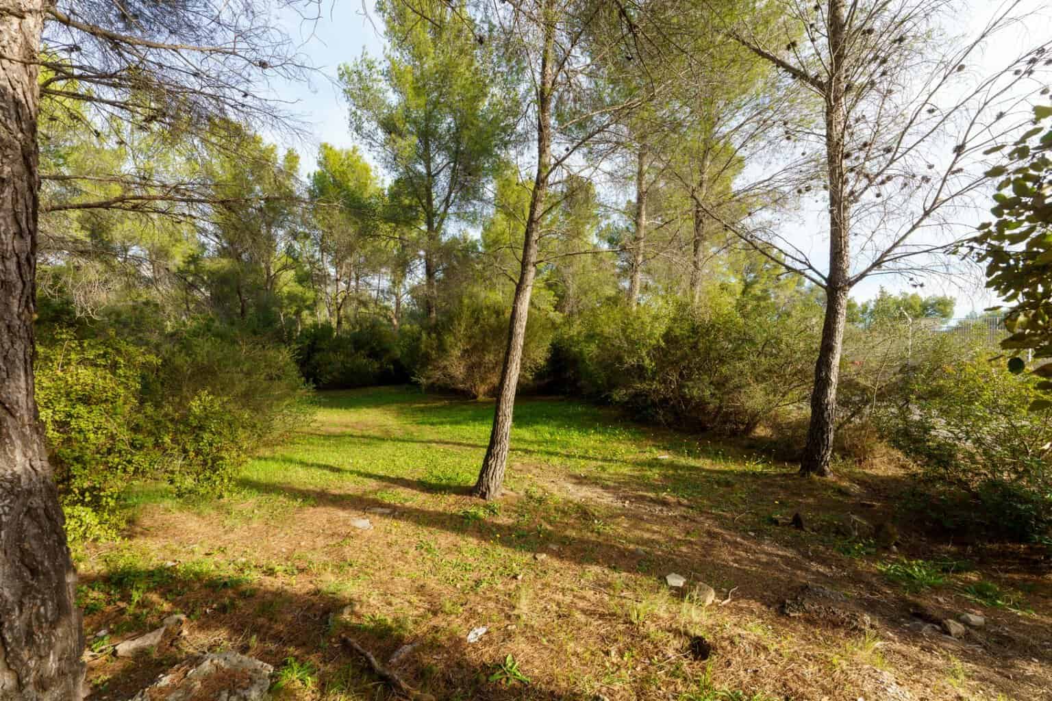 Pinède de 74 561 m² à la Valette du Var (83)